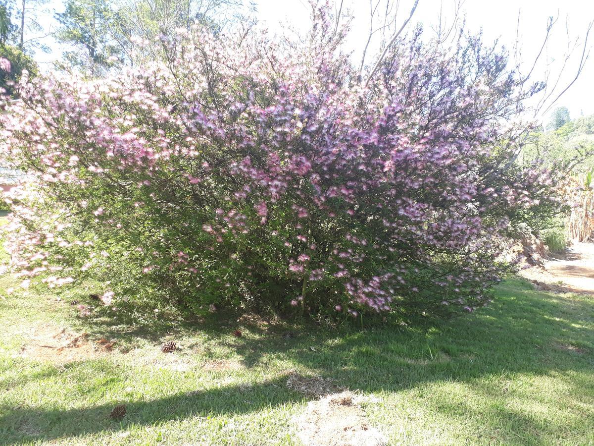 Recanto Das Borboletas São Roque المظهر الخارجي الصورة
